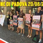 Padova difende la vita, sacra e profana